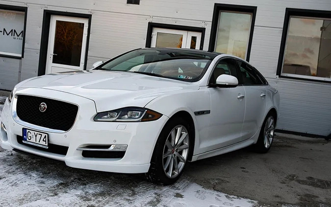 Jaguar XJ cena 127999 przebieg: 89000, rok produkcji 2016 z Bystrzyca Kłodzka małe 154